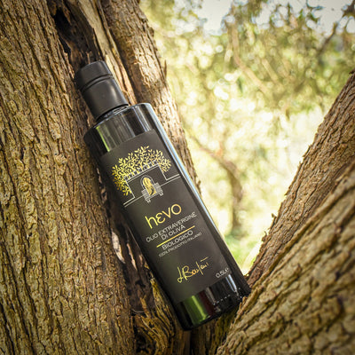 hεvo Bio-Olivenöl Flasche mit Etikett im Olivenbaum, Noto, Sizilien