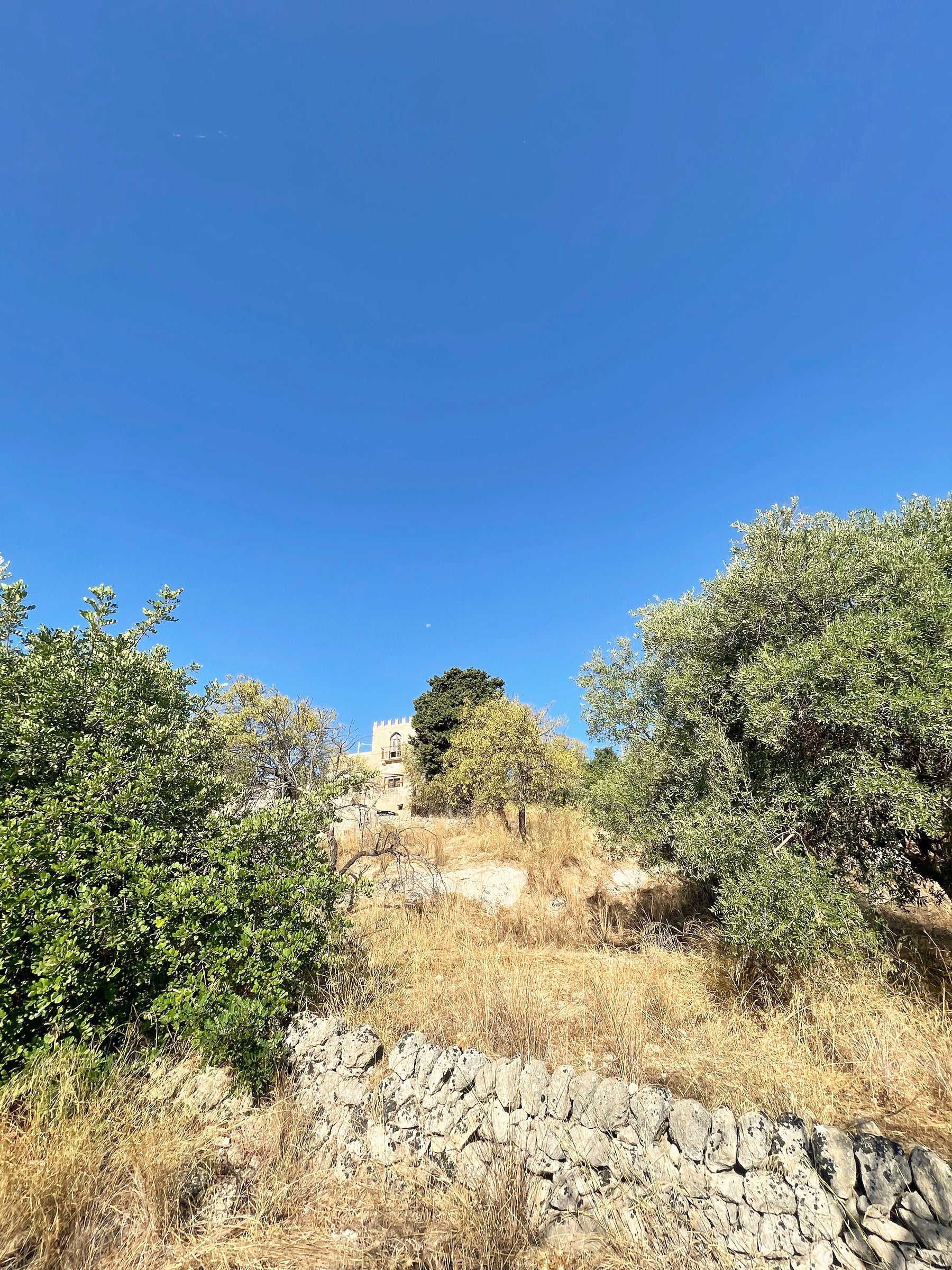 Das Land der Azienda agricola Bonfanti in Noto, Sizilien